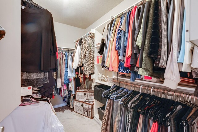 spacious closet with light carpet