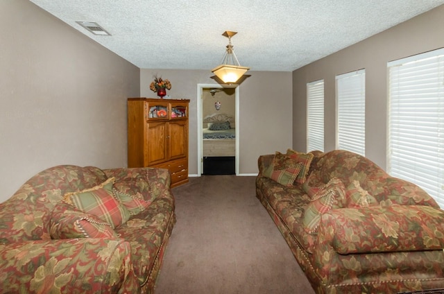 living room featuring carpet and a textured ceiling