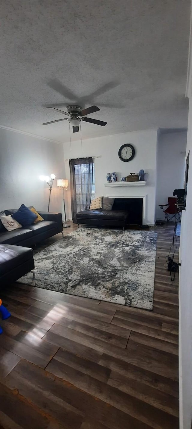 living room with a textured ceiling, a ceiling fan, and wood finished floors