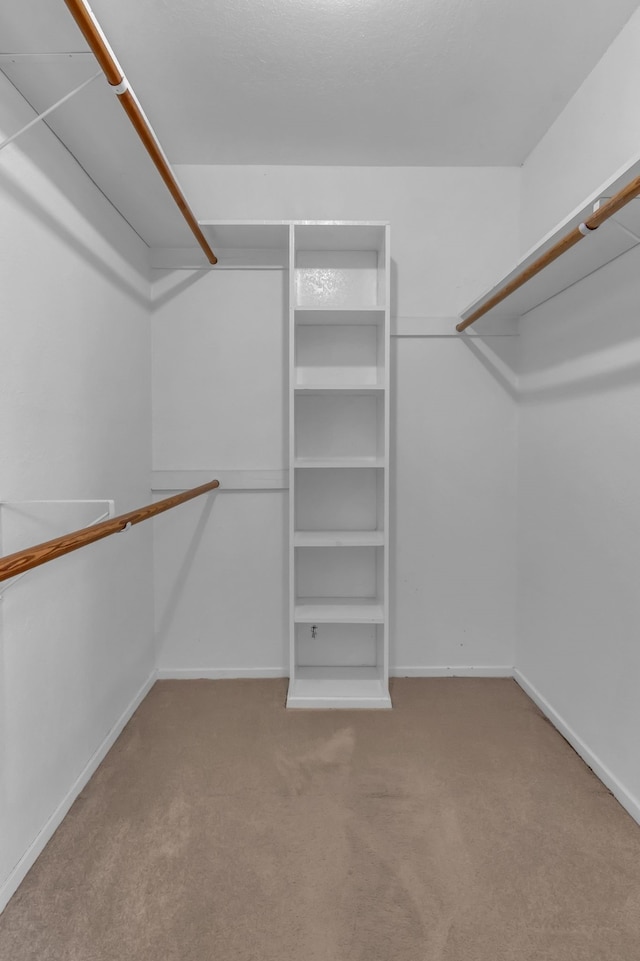 walk in closet featuring carpet