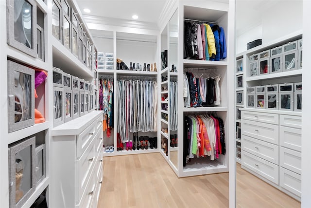 spacious closet featuring light wood-type flooring