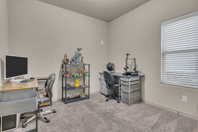 office space featuring carpet flooring