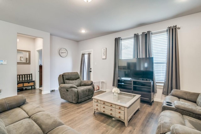 living room with hardwood / wood-style floors