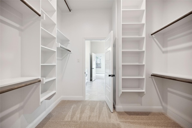 spacious closet featuring light carpet