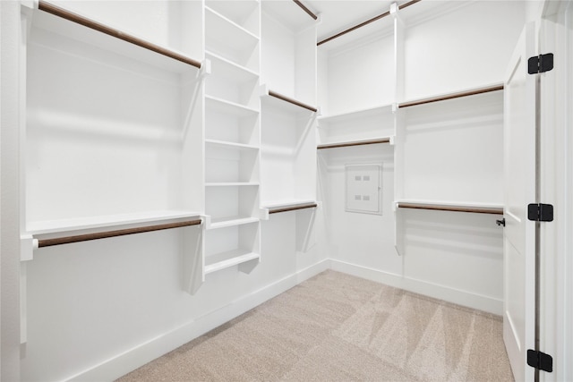 walk in closet featuring carpet floors