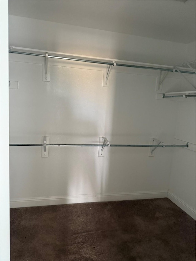 spacious closet featuring dark colored carpet