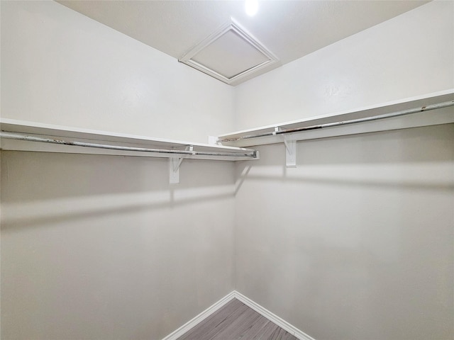 walk in closet with hardwood / wood-style flooring