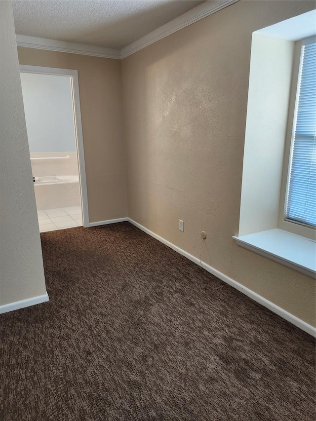 spare room with crown molding, carpet floors, and a textured ceiling