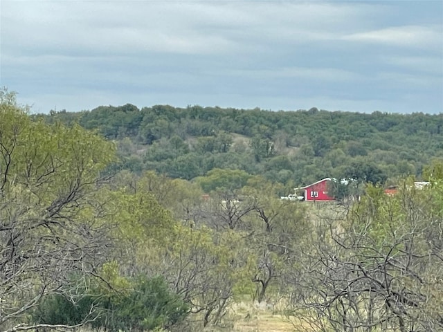 Listing photo 2 for 1161 Lynn Creek Rd, Jacksboro TX 76458