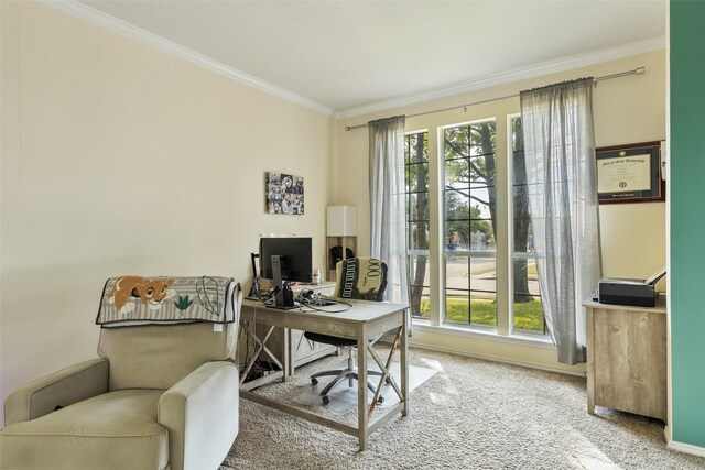 carpeted office space with crown molding