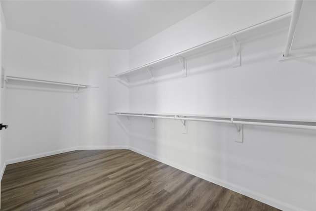 spacious closet with dark hardwood / wood-style flooring