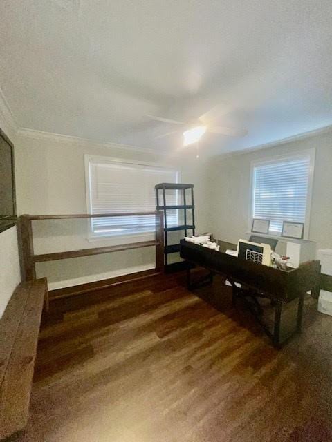 office area with ceiling fan and crown molding