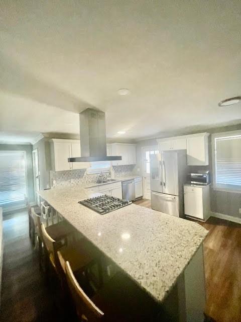 kitchen with appliances with stainless steel finishes, light stone counters, white cabinets, dark hardwood / wood-style floors, and range hood