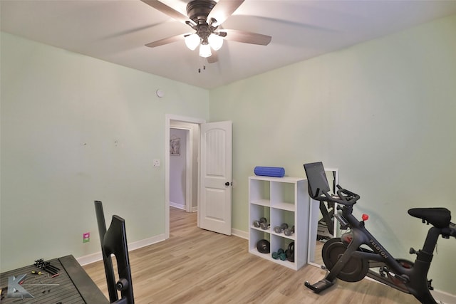 exercise room featuring ceiling fan and light hardwood / wood-style floors