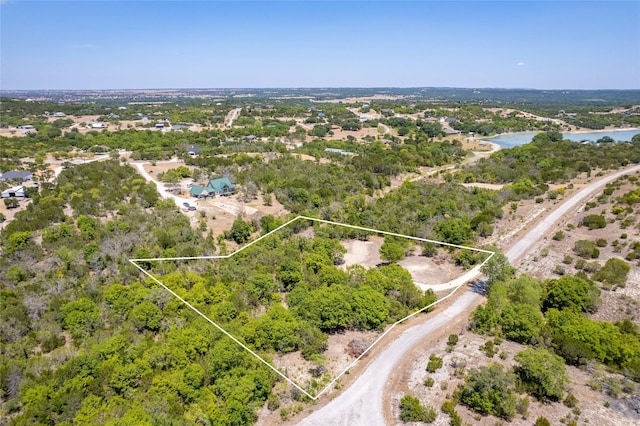 Listing photo 2 for 800 Blue Marlin Ct, Bluff Dale TX 76433