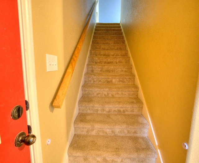 stairway featuring carpet floors