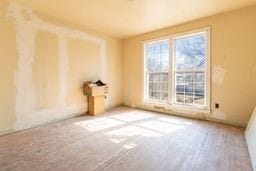 empty room with hardwood / wood-style flooring