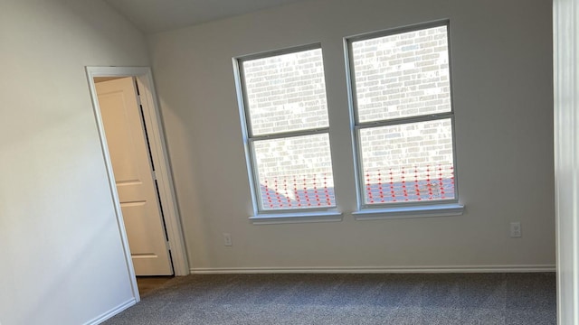 carpeted empty room featuring a wealth of natural light