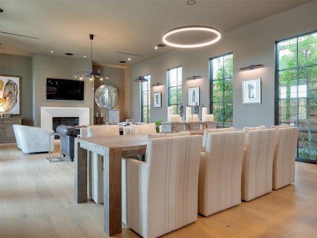 living room featuring light hardwood / wood-style floors and a tiled fireplace