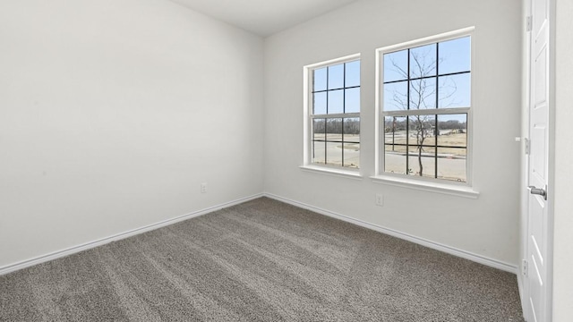 spare room with baseboards and carpet floors