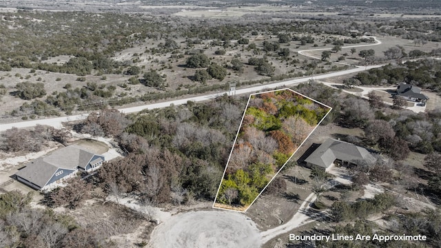 314 Lake Ridge Ct, Bluff Dale TX, 76433 land for sale