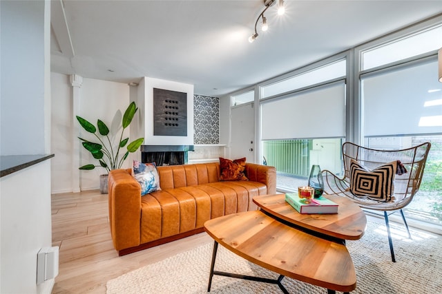 living room featuring plenty of natural light, rail lighting, and light wood-type flooring