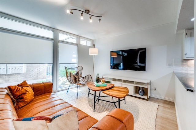 living room featuring a wealth of natural light, light hardwood / wood-style floors, and floor to ceiling windows