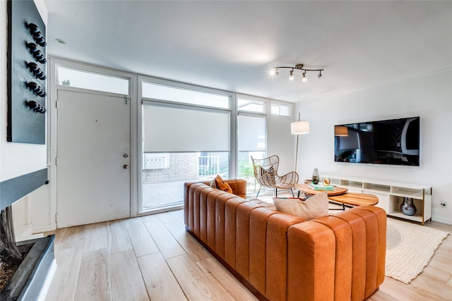 living room featuring expansive windows and light hardwood / wood-style floors