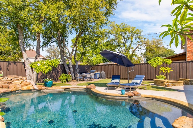 view of pool with a patio area