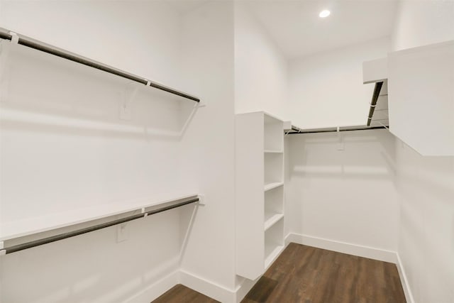 spacious closet with dark hardwood / wood-style flooring