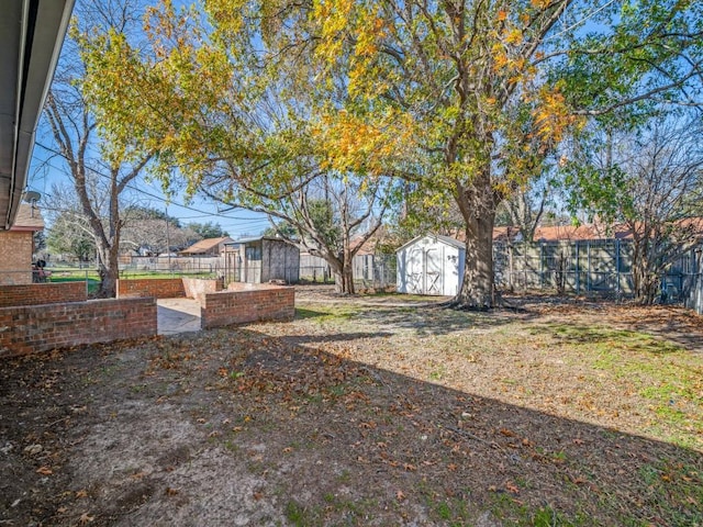 view of yard with a shed