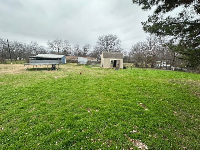 view of yard with a trampoline and a storage shed