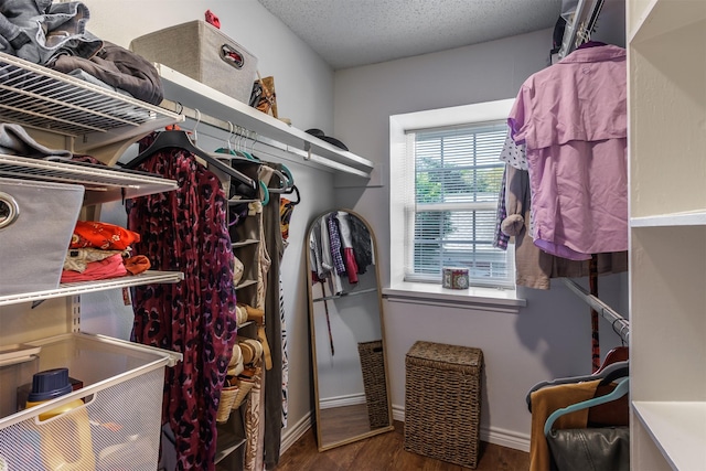 walk in closet with wood-type flooring