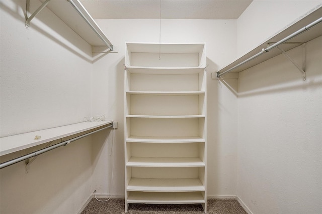 spacious closet featuring carpet flooring