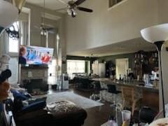 living room featuring ceiling fan