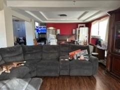 living room with hardwood / wood-style flooring and a raised ceiling