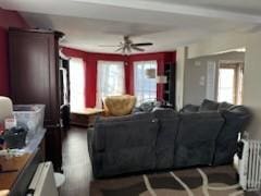 living room featuring ceiling fan, radiator, and hardwood / wood-style flooring