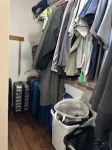 spacious closet featuring dark wood-type flooring