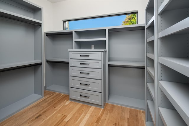 spacious closet featuring light hardwood / wood-style floors