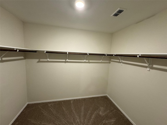 spacious closet featuring carpet flooring