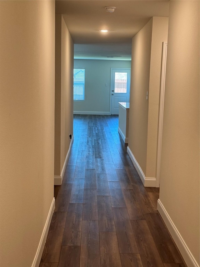 hallway featuring dark wood-type flooring