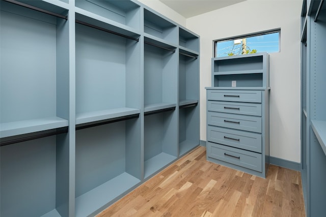 walk in closet featuring light wood-type flooring