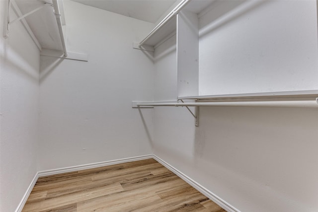 spacious closet featuring wood-type flooring