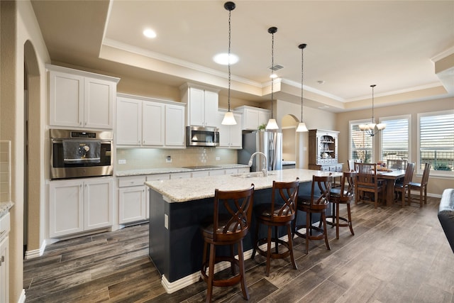 kitchen with a tray ceiling, stainless steel appliances, white cabinets, and a center island with sink