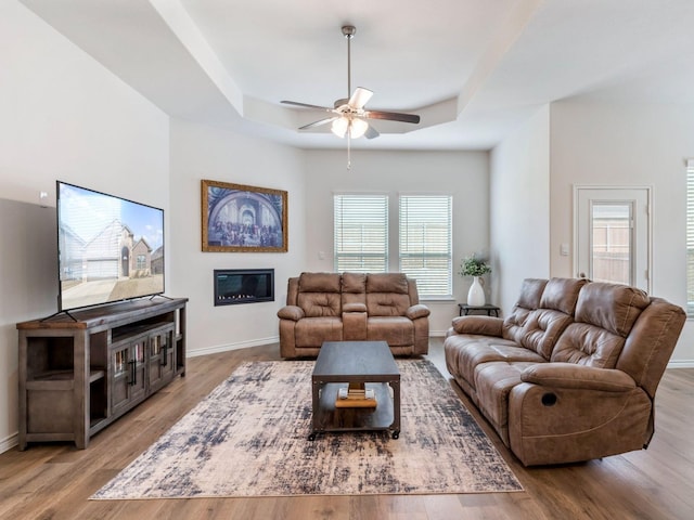 living room featuring ceiling fan, a raised ceiling, and light wood-type flooring