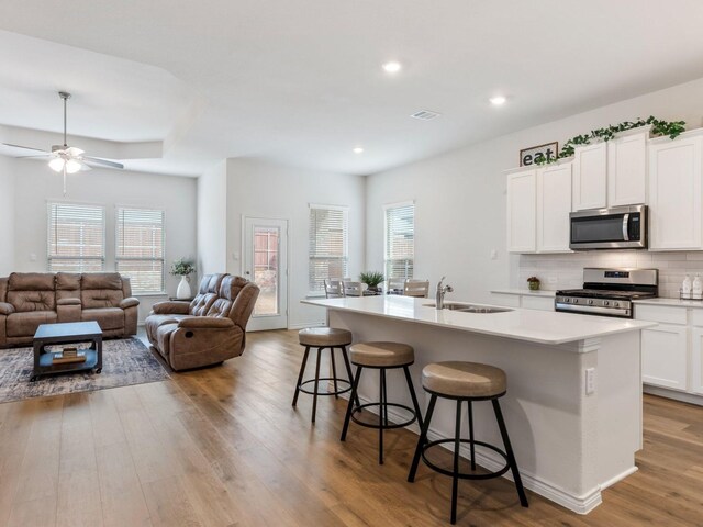 kitchen featuring white cabinets, appliances with stainless steel finishes, a kitchen island with sink, and sink