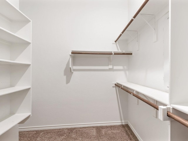 spacious closet with carpet