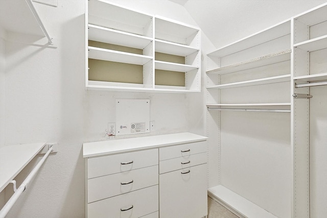 spacious closet with vaulted ceiling