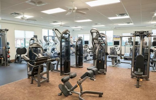 gym featuring ceiling fan, a drop ceiling, and light carpet