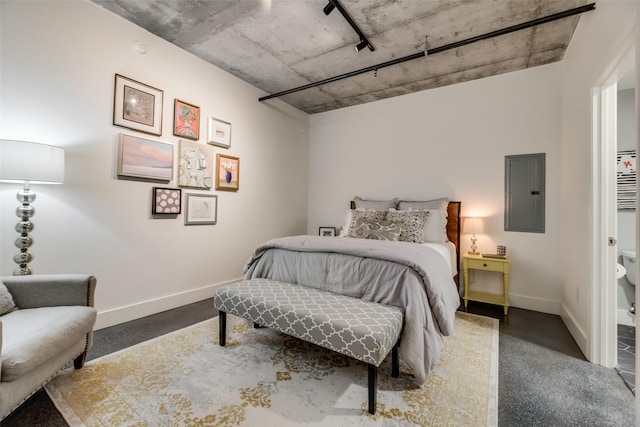 carpeted bedroom with electric panel and track lighting